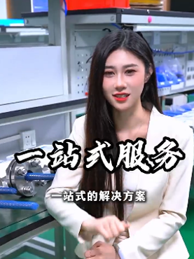 定制化工儀表