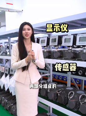 氣體羅茨流量計